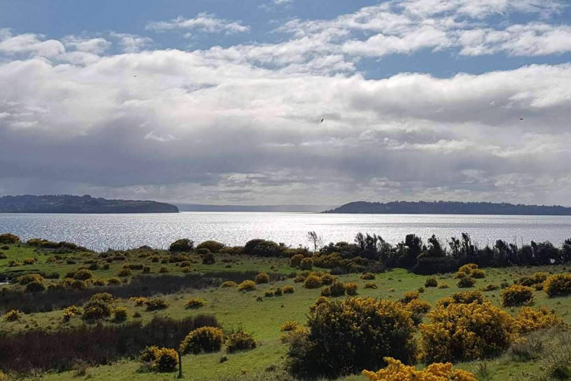 Latitudes Australes, una empresa de referencia en la venta de proyectos de parcelas en el sur de Chile