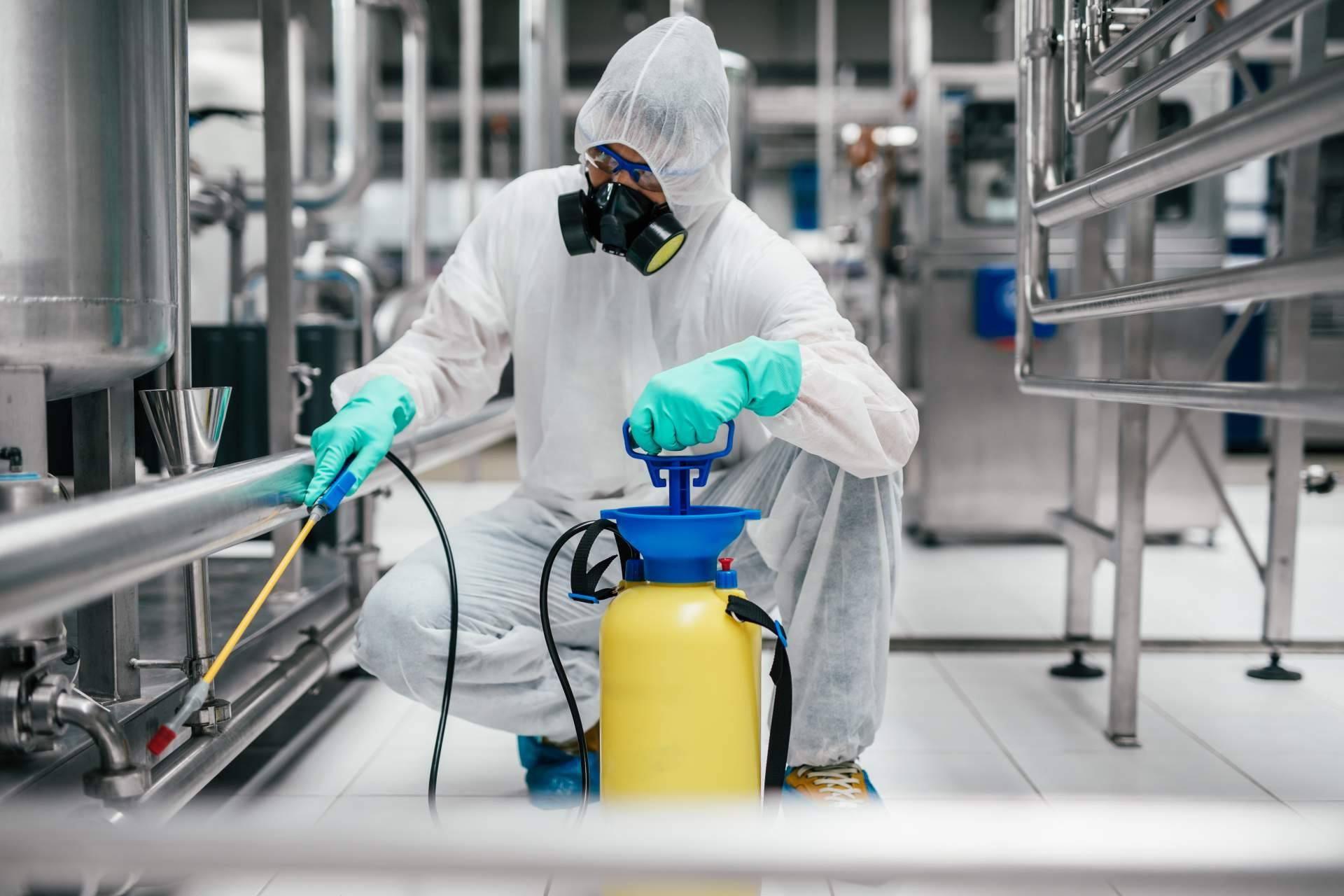 Control de plagas preventivo en México; clave para proteger hogares, negocios e industrias